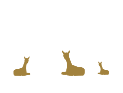 Pinnacle Alpacas