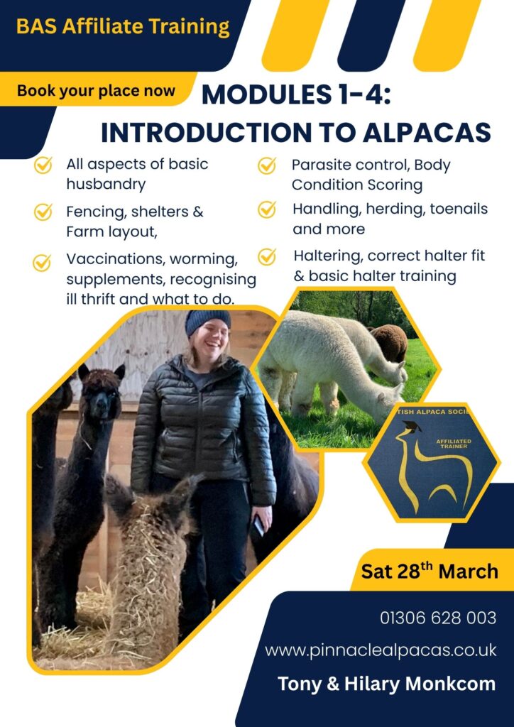 28th March 2026 - Modules 1-4